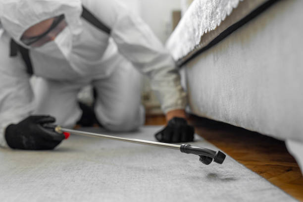 Professional Bed Bug Control technician working in Helemano, HI