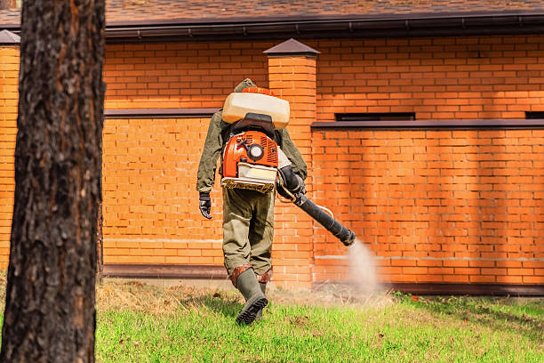 Trusted Emergency Pest Control service in Helemano, HI - Nex Pest Control